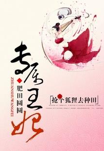 会计师分类正确的有