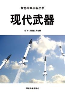 CPA编程2级分数