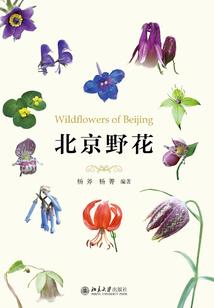 南通初级会计几号考