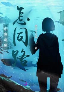 会计长期计划
