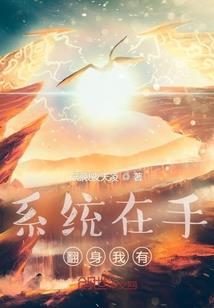 杜先生说财税