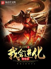 公司会计半年总结