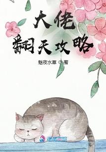 怎么考会计专硕