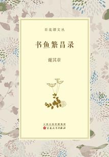 财税小陆