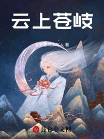 德国会计师报税要求