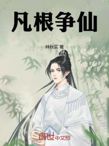 会计师在哪能查询