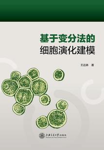 东奥车道处罚规定