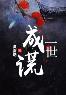 会计师的技术特点