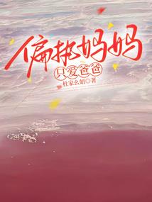 中级会计考试麦积可以吗