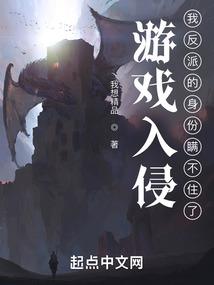 上海预约财税专家