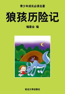实操会计全盘账