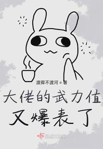 高盛财税体系