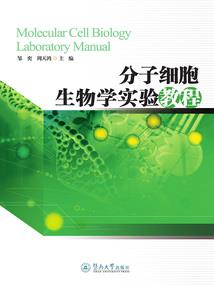 财政电子票据石家庄