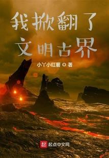 菜鸟学初级会计师教材