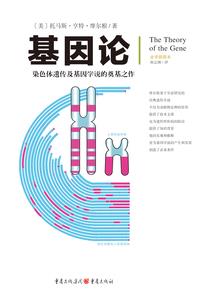 顺义初级会计资格报考