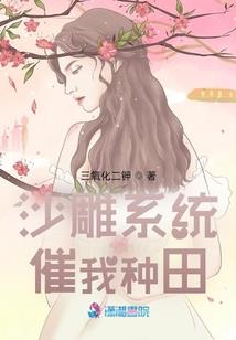 金蝶实施费会计分录