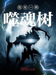 收到政府拨款会计分录