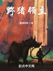 副园长可以当会计吗