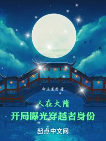 CFO总会计师演讲
