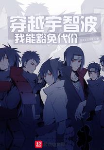 会计师的最后级别是