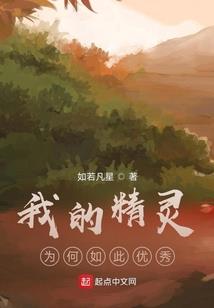 高陵财税公司平台