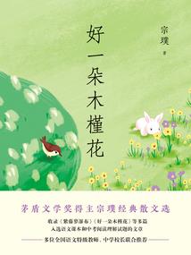 中级会计师盖章资料