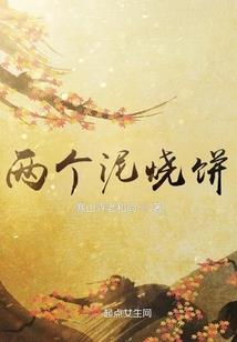 备考cpa的小软