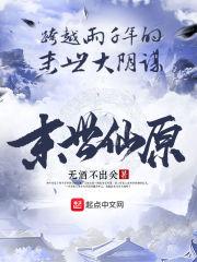 会计师报考哪个好些专业