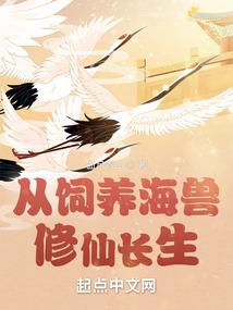 主管会计的要求