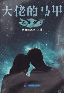 新洲区优质的财税管理