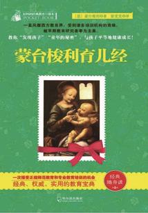 组织财政收入工作计划