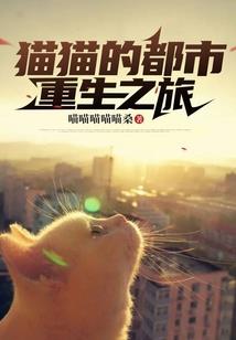 昆明中级会计后续审查