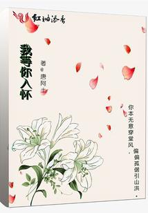 银行会计的风险与防范