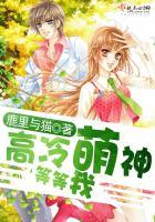 宝山区财税顾问如何应聘