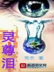 光伏公司会计分录