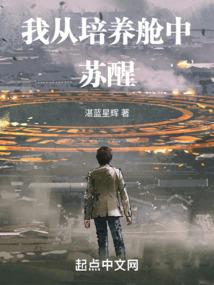 什么是会计要素