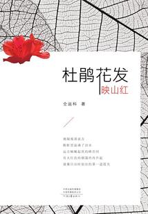 辽宁东奥杂物梯配件