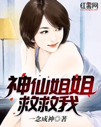 中级会计师网课平台