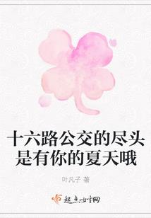 中级会计专注