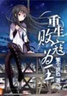 内控总会计师
