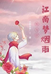 第一财税大观