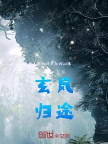 中华斯尔东奥选哪个