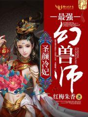 双总会计师