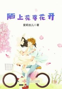华龙区会计师代理记账