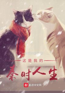 中级会计心态