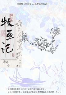 机考和cpa哪个好