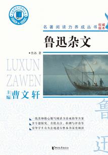 启创财税