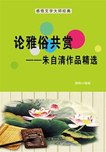 厦门财政规划