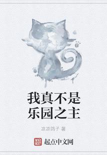 武汉财税顾问机构