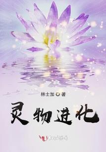 山东财税咨询顾问